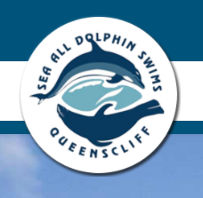 Sea All Dolphin Swims