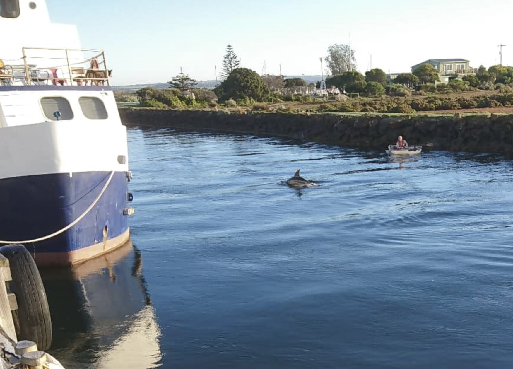 Queenscliff Heritage Tours